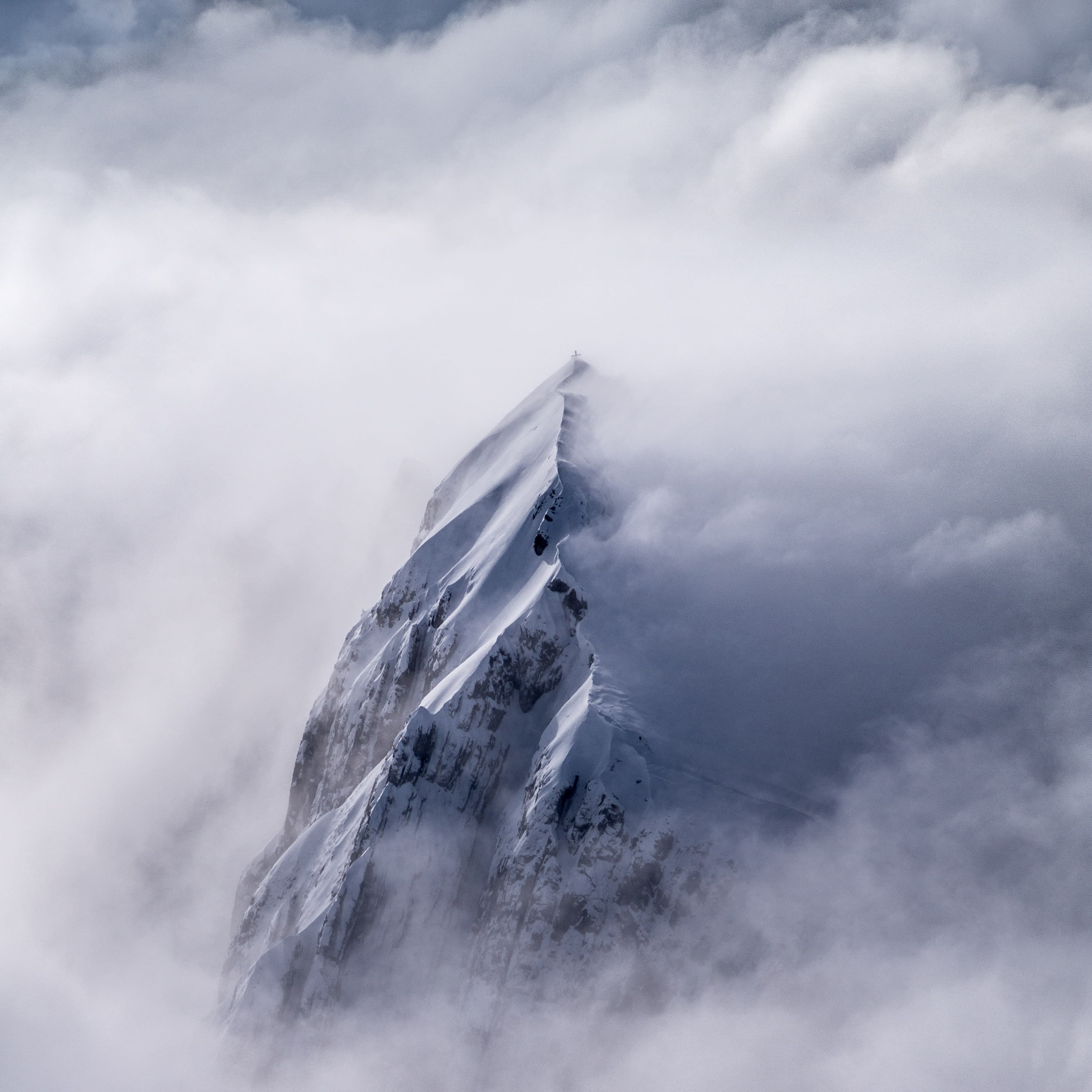 Sustainable-by-Design IT: Building a Carbon Budget for Your Digital Operations